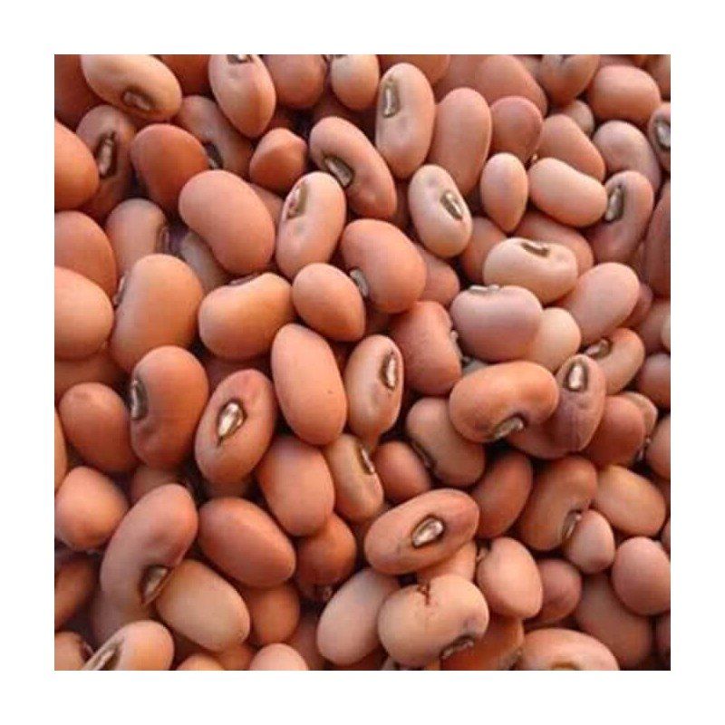 Naturally Nutritious Lobia Red