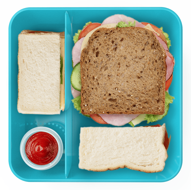 All Time Salad Lunch Box With Dip Container | 1450 ml (Colour May Vary)