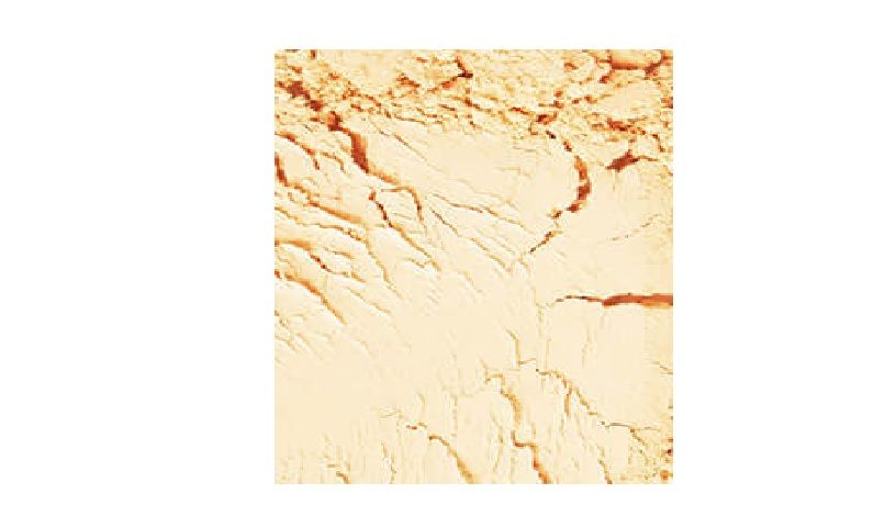Coloressence Compact Powder - Beige | Lightweight and Soft