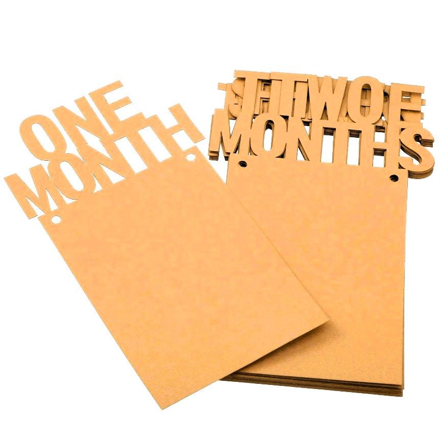 Let's Vybe 12 Months Baby Photo Banner
