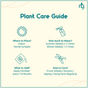 33e957bd-cb06-465b-a3fb-093b7c3ce5ba.png