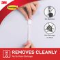 dd1252bb-d284-429a-9faa-77984ade76a3.jpg