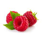 Photo.jpeg