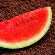 5c9a6ab2-5602-412a-9edd-7f02e7424b75.jpeg