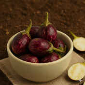 ac0ae49f-589f-407e-87f7-0783ced36127.jpeg