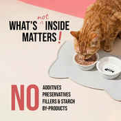 65d32d74-4ca3-4649-9b45-fbde4f4e2f61.jpeg