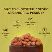 fe489481-0288-45d5-8320-e1751c62be12.mp4