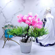 103b4030-6b05-4bb2-b99b-408641fbfac2.jpeg