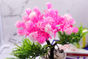 af2c428f-ef5b-45c8-ab72-bcf3022f0379.jpeg