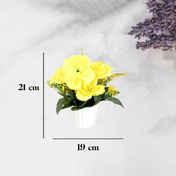 b7bec22c-85dc-44c0-9dd2-b64a55905c9f.jpeg