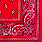 46ff5b5e-8435-4ebc-a391-8252f6efd1b3.jpg