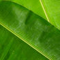 a04a53e2-349a-4902-864d-d8e9991de24c.jpeg