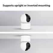 81a17ef1-8ef7-4e07-a5f0-69d280f17803.jpeg
