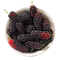 366f99db-e5a6-4033-897c-69165493e0c9.png