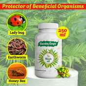 4ee3bcb1-0071-4bee-8de5-f503147c5b0c.jpg
