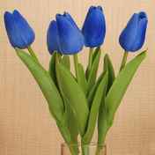 8c2ffe55-f983-4c03-bb73-e6ec56723575.jpeg