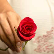 e4de47f8-7536-4da1-a1ac-e5d524a44f6c.jpeg