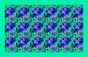 3477e0a1-171b-4978-880f-cb53dd4ce871.jpg