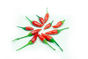 1b3b91a5-42b6-4d81-a713-e72d29aca11d.png