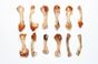 Chicken Soup Bones.jpg