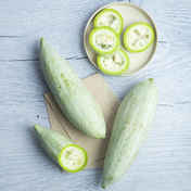0ed713f6-c8aa-41d0-a8b4-2e88d0831524.jpg