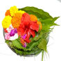 image_file.webp