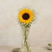 57ab7df3-9b2f-4b43-86e2-194dbe53bd8f.jpeg