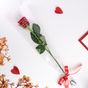 96d5df85-b010-4b35-9ad7-d22e79ef9bae.JPG