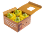 1iE65XTX-3Ttls3X7jBU4ZzyjqG56Xeu4.jpeg