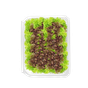 image_file.png