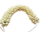 veni3-removebg-preview.png