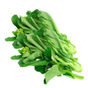 Photo.jpeg