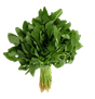 7427fd28-2dd1-49a2-aad9-88e5fd72c7b8.jpeg