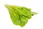 a70cc297-07f6-4bfc-8cca-9ebc48f351d9.jpeg