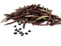 bf7fef87-9d3d-4255-ba53-7a96970429a1.png