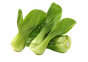 shutterstock_1756195469-removebg-preview.png