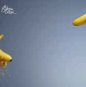 106d8aaf-ecaa-4a60-9075-b3285ff8b401.mp4