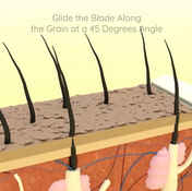 03902d63-d835-4e71-95e6-474452df63a6.mp4