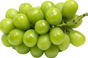 bac71883-4ec3-4917-a00e-67378506b6d1.png