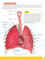 5e7cd7f9-4c5d-47d5-938e-12dc47da42aa.jpeg