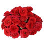 44925803-1292-4b47-abb9-91206db2a2c2.webp
