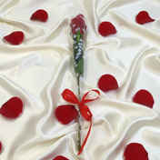 70a7a2cd-a4eb-41e2-ae75-827591c514b7.jpeg