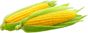 shutterstock_793795639.jpg