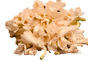 23e4b3ea-4d73-48d9-b3f1-0e98e1886a6e.png