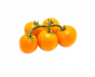 70f66ab5-c7c8-4410-9cb7-a5f46f1fed80.jpeg