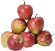 baby apple shimla.PNG