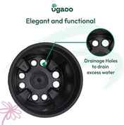 7812c6db-1805-4bff-87e6-abebf678ec12.jpg
