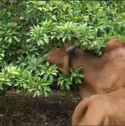 22ef1bd8-a060-4b15-8c9d-fcb80fbef605.mp4