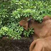 ea2f7dfd-1a38-41c6-ba3c-edbc82f7c790.mp4