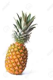 f387050a-93bb-48ac-abaa-0234fa2399ed.jpeg